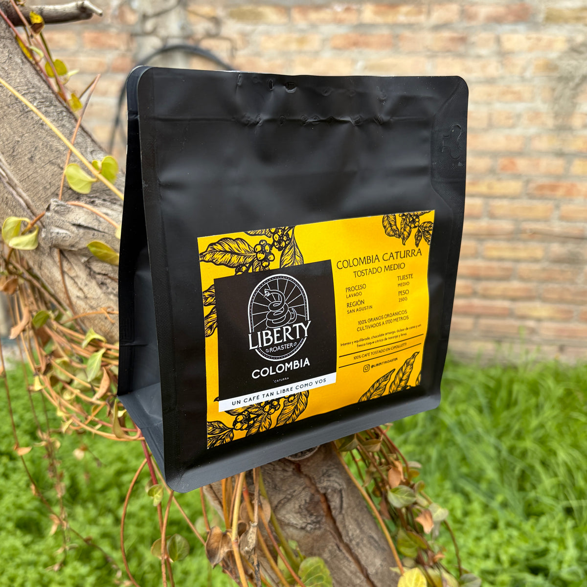 Café Colombia Caturra San Agustín